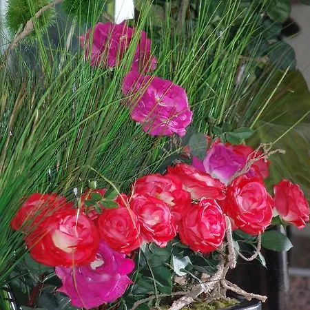 Western Premier Hbeo Centre Hotell Bordeaux