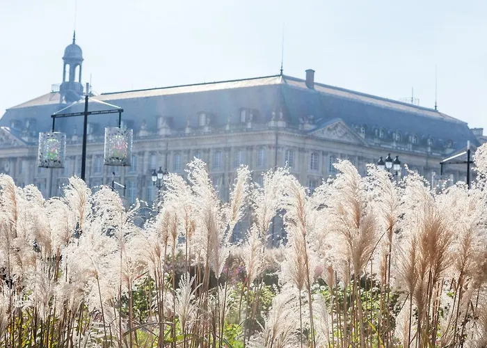 Western Premier Hbeo Centre