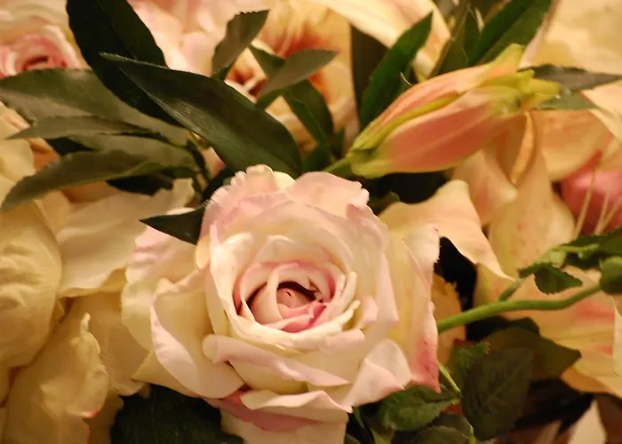 Hotel Western Premier Hbeo Centre