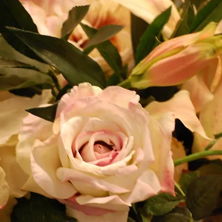 Hotel Western Premier Hbeo Centre